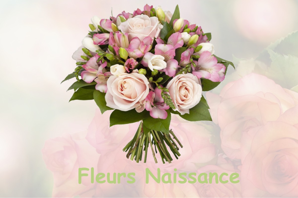 fleurs naissance SAINT-BENIN-DES-BOIS
