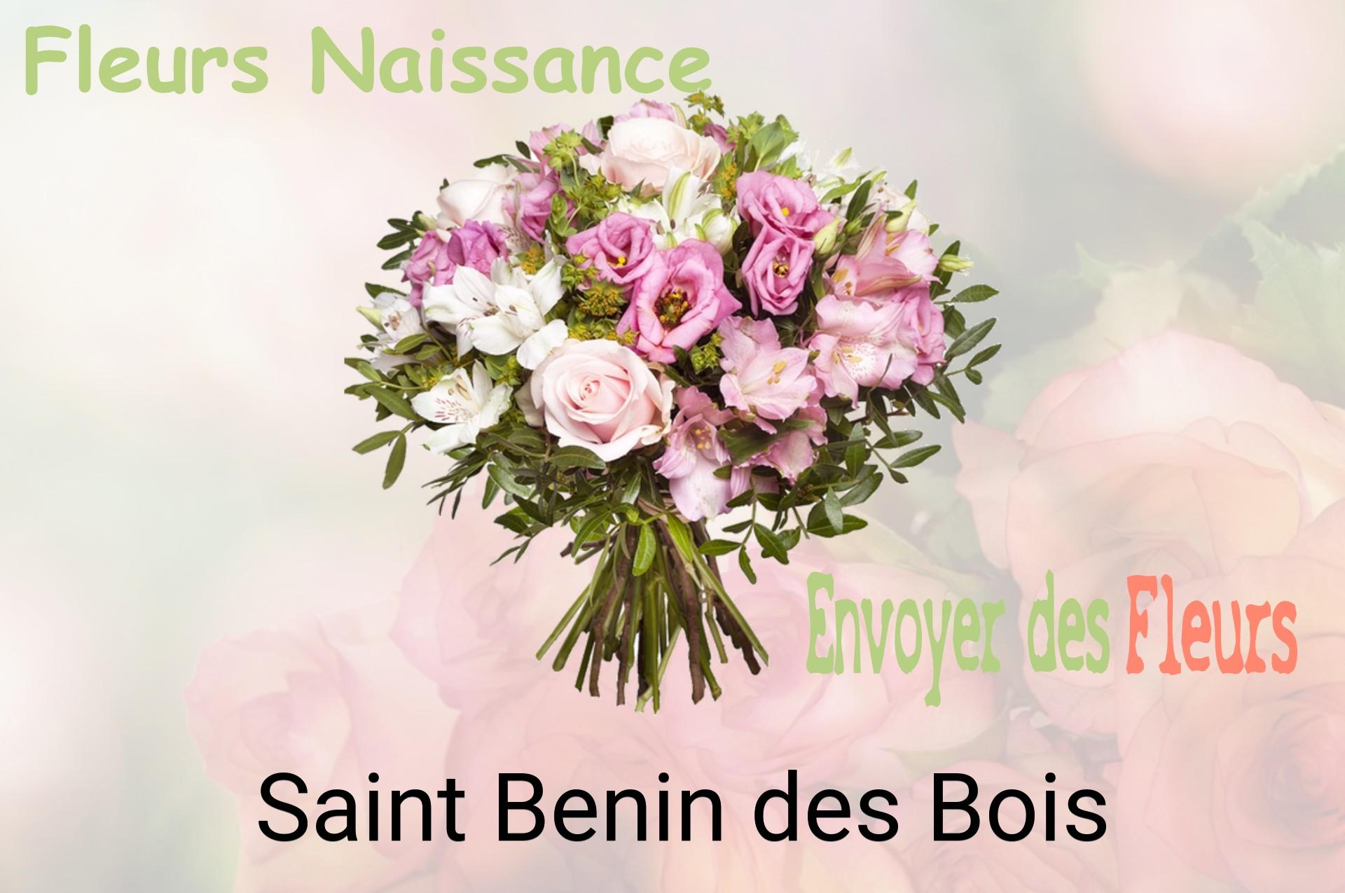Bouquet de fleurs de naissance livré à Saint-Benin-des-Bois